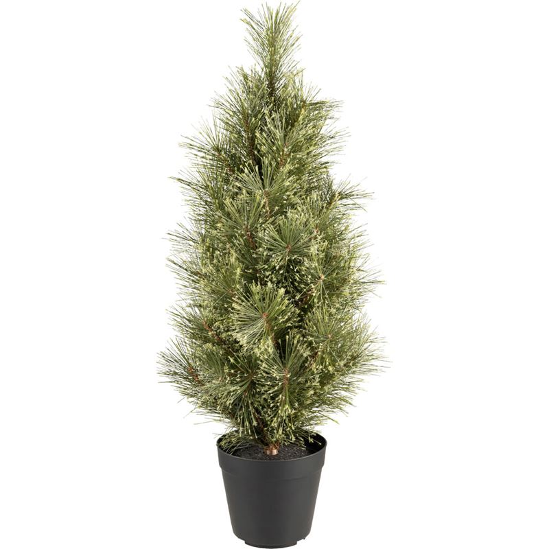 Juletre Furun&#229;l H61cm